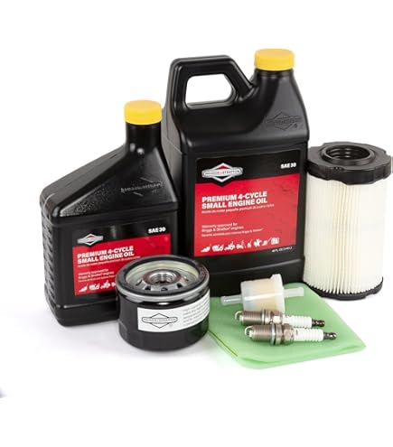 Amazon.com : Briggs & Stratton 273521 Intek V-Twin OHV Repair