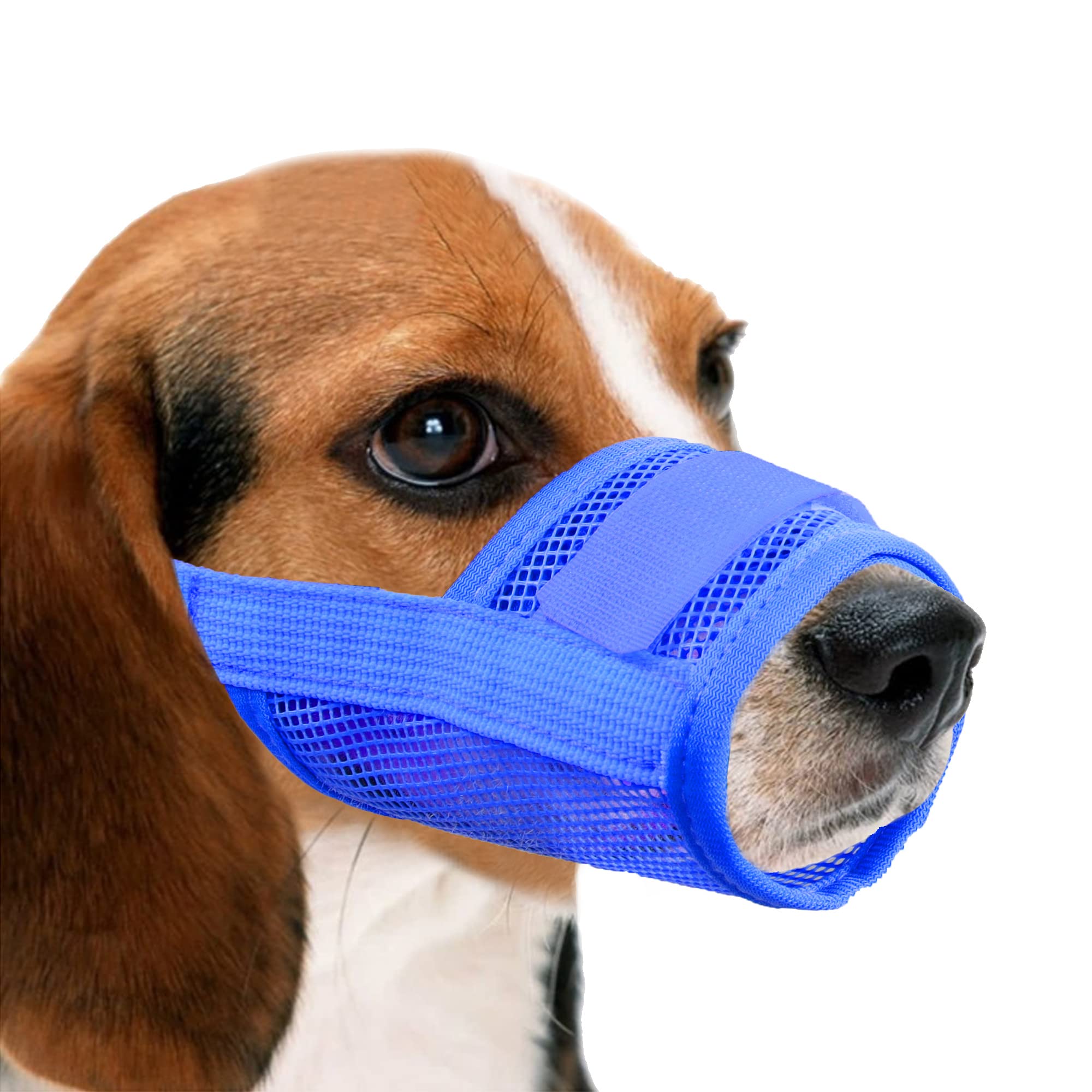 YAODHAOD Nylon Mesh Breathable Dog Mouth Cover, Quick Fit Dog Muzzle with Adjustable Straps，Pet Mouth Cover, to Prevent Biting and Screaming to Prevent Accidental Eating (L, blue)