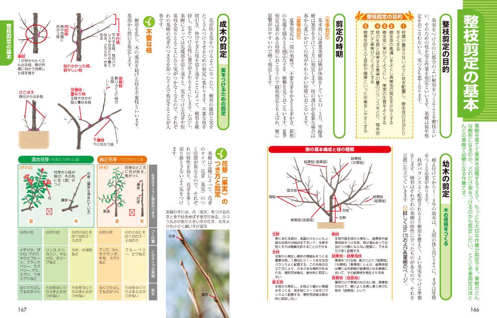 Shippai Shinai Kaju No Sodatekata Niwaue Hachiue Mikio Kobayashi Akira Ozaki Amazon Com Books