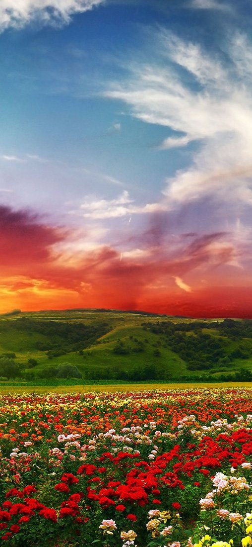 PeelitStickit, Beautiful Nature Wall Murals, ID-3241, vinyl