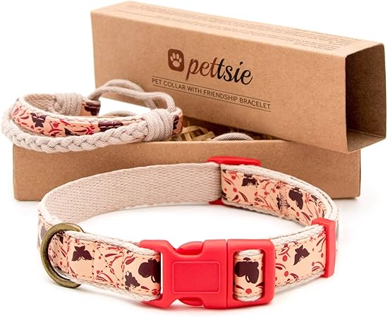 matching dog and owner collar