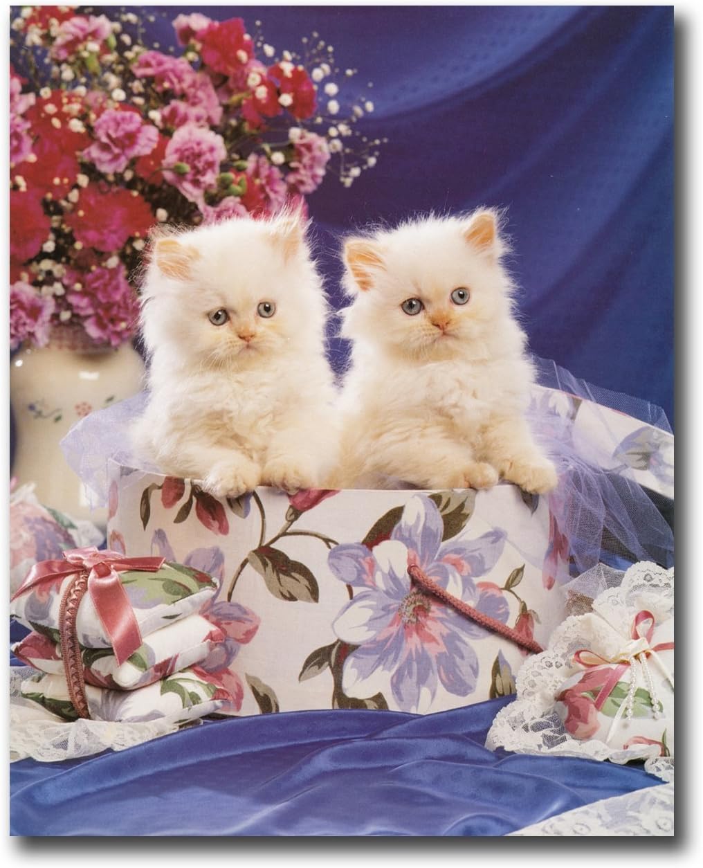 Amazon Com Two White Persian Kitty Cats With Green Eye Wall