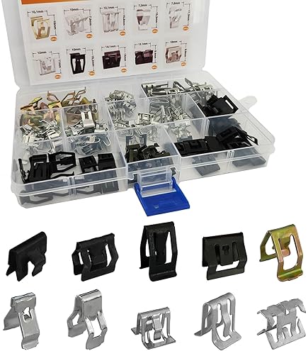 MACHSWON 100 Pieces 10 Universal Sizes Car Metal Trim Panel U-Clips