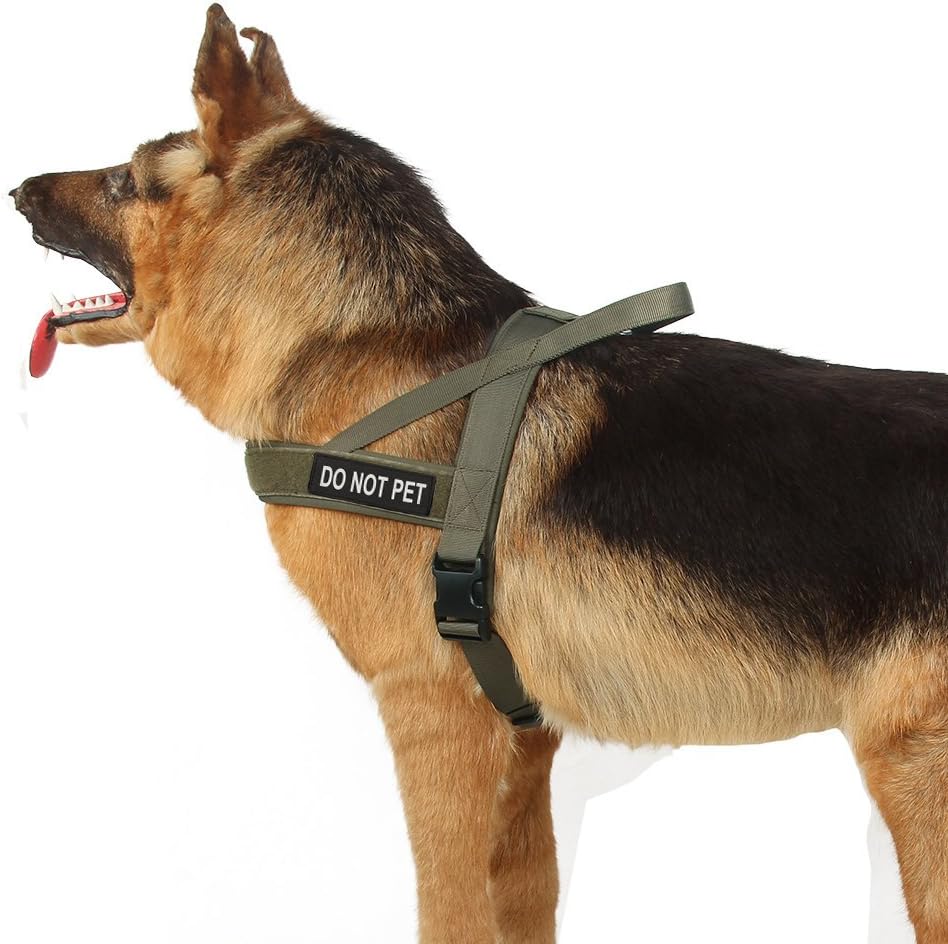 EXCELLENT ELITE SPANKER No Pull Dog Harness Adjustable Nylon Service Walking Dog Harness with Control Handle for Small & Medium and Large Dogs(RGN-XS) - Image 4
