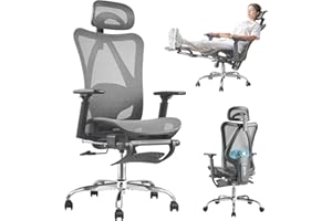 DFLIVE Ergonomic Office Chair, SGS Certified Class 4 Gas Cylinder, 400 LBS Capacity, Retractable Footrest, Adjustable Lumbar Support, Breathable Mesh（Grey）