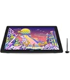 Amazon.com: HUION Kamvas 22 Plus QLED Drawing Tablet with Full