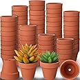 Nuogo 100 Pcs Mini 2 Terracotta Pot Small Flower Pots Tiny Clay Pots Nursery Flower with Drainage Holes for Indoor Outdoor Succulent Cactus Plants Crafts Wedding Decorations