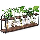 THYGIFTREE Plant Propagation Stations with Wooden Stand, Desktop Retro Plant Terrarium Bulb Vase for Indoor Hydroponic Flowers, Tabletop Glass Planter Housewarming Gifts for Plant Lovers