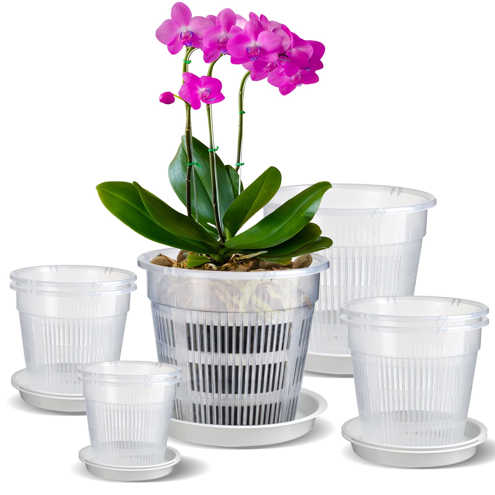 IWTTWY Clear Orchid Pot, 8 PCS Plastic Plant Pots with Drainage Hole and Tray, House Plant Pots Nursery Pots for Orchid Repotting Kit, Seed Seedling Pots for Root Growing (11cm/14cm/16cm/19cm)