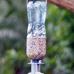 Amazon Com Soda Bottle Bird Feeder Wild Bird Tube Feeders