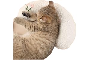 Chewbrary Pillow for Cat, Small Moon Pillow for Kitty, Ultra Soft Cat Pillow Sleeping Improve, 10x6x2 Inch, Machine Washable, Quick-Drying, for Cats & Small Dogs (White)