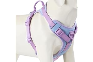 Wolfone No Pull Dog Harness Adjustable Soft Padded Pet Vest with Control Handle Adorable Daily Harness for Dogs（Spun Sugar S）