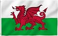 3x5 Golden Welsh Dragon Flag – Wales Battle Banner For Indoor & Outdoor Display