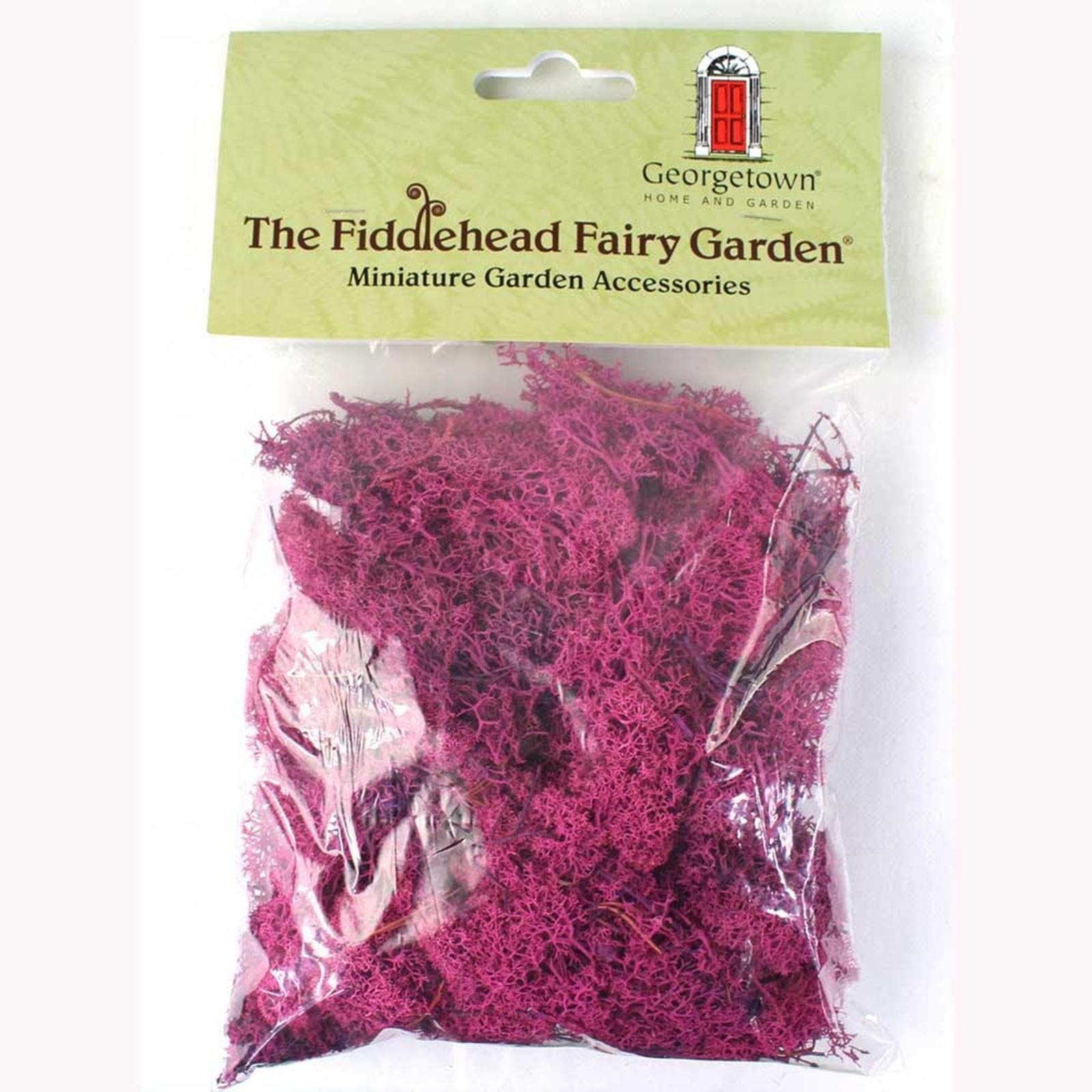 Reindeer Moss - Fuchsia by Fiddlehead Fairy Garden