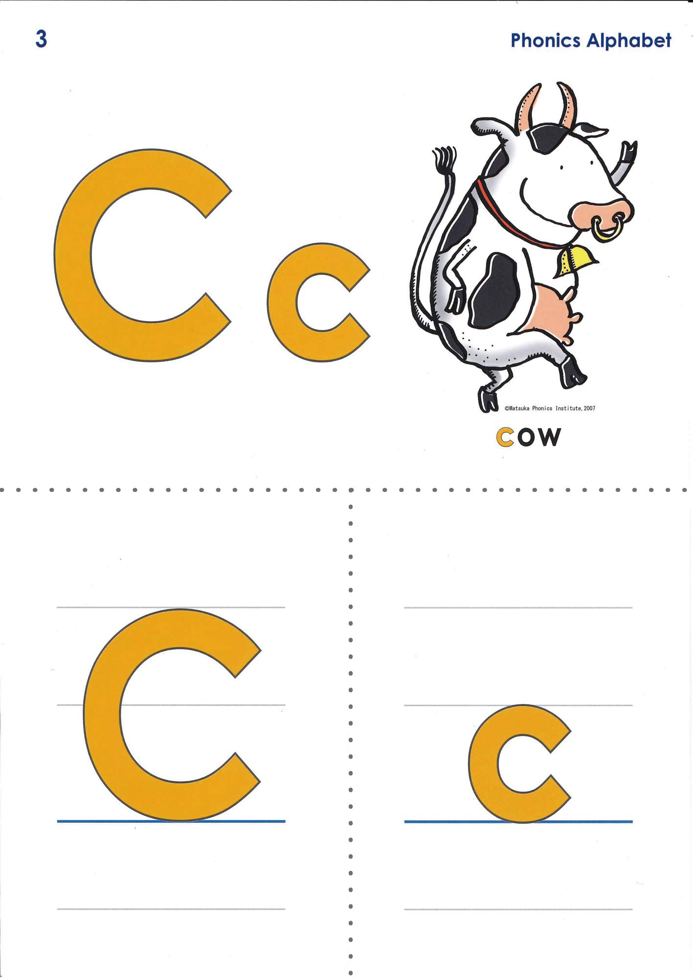 132枚入 教師用大判a4フォニックスカード 小学生中学生英語授業フォニックスオンラインレッスンにおすすめ 小文字カード 英語発音のコツと発音記号入り フォニックスルールカード入り 絵カード 大文字カード
