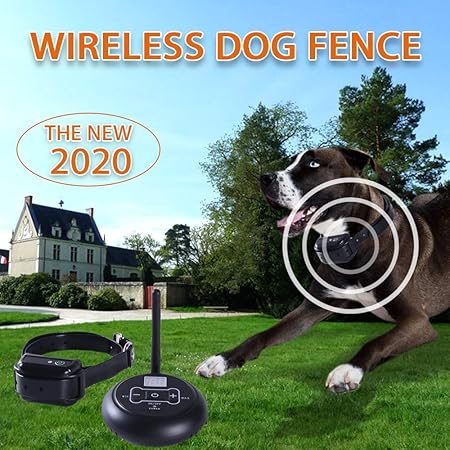 wireless dog fence for 2 dogs