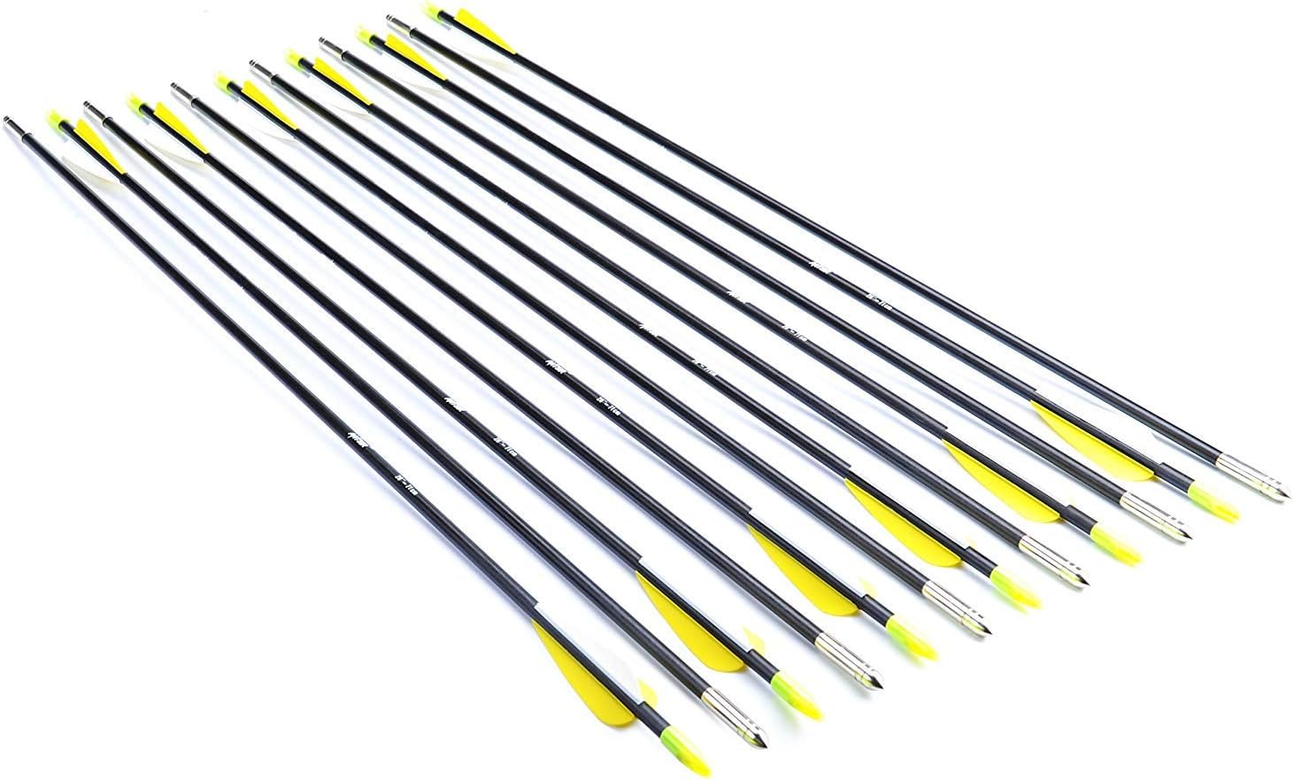 ANTSIR 28 Fiberglass Archery Target Arrows-Practice Arrows for Kids Youth or Beginners on Recurve Bow Traditional Bow Long Bow(Yellow Vanes Pack of 12) : Sports & Outdoors