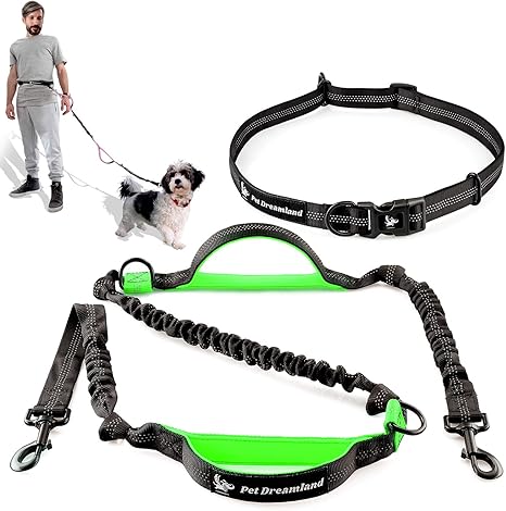 Long bungee dog leash Clearance