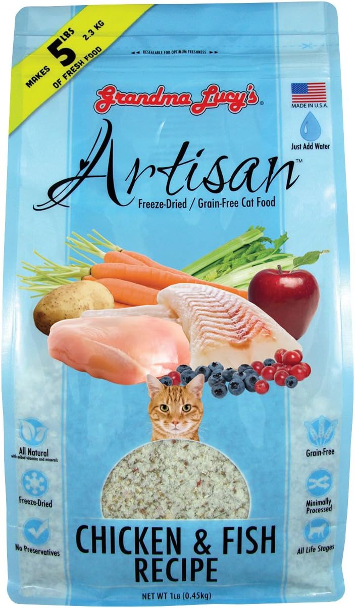 babies king french bulldogs