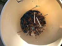 Review Image by Jacob T. Collins Jacob T. Collins