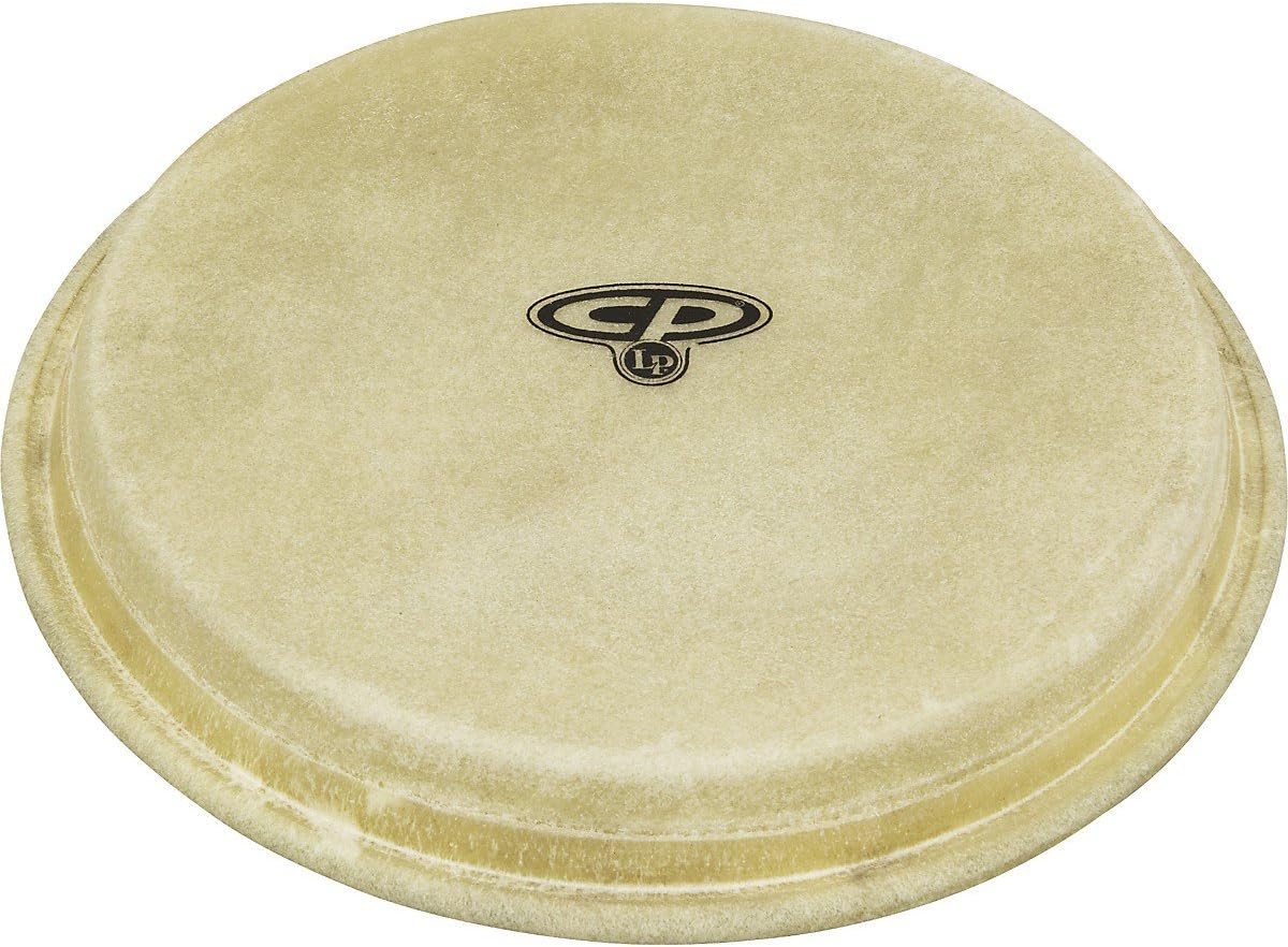 Latin Percussion CP221A 6Inch Replacement Bongo Head for CP221 Amazon