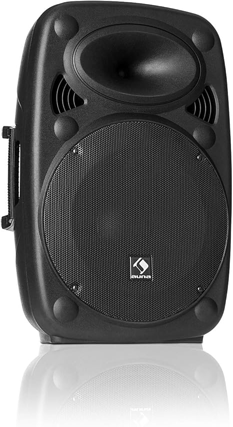 auna pa speakers