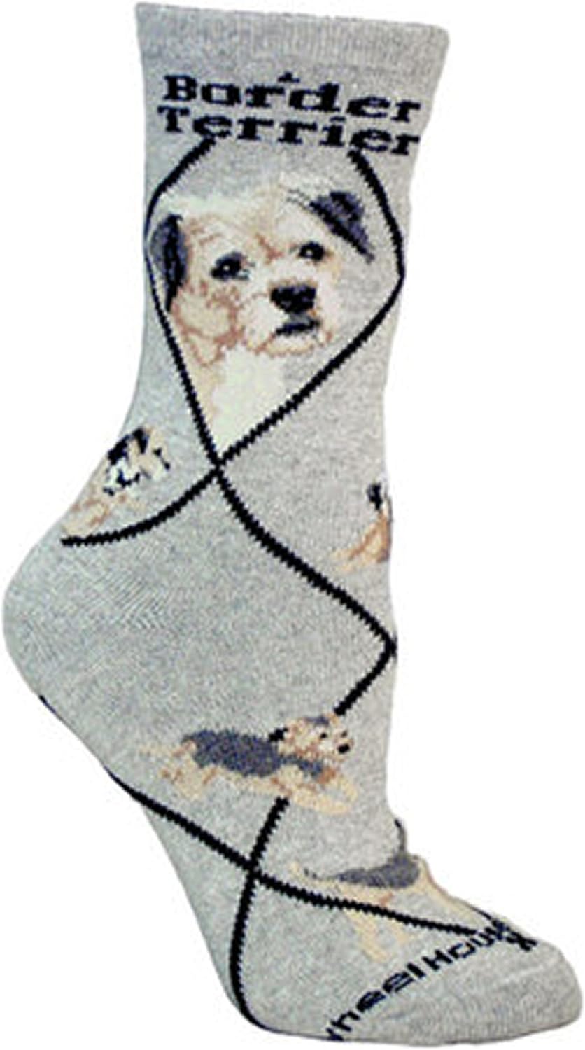 large border terrier