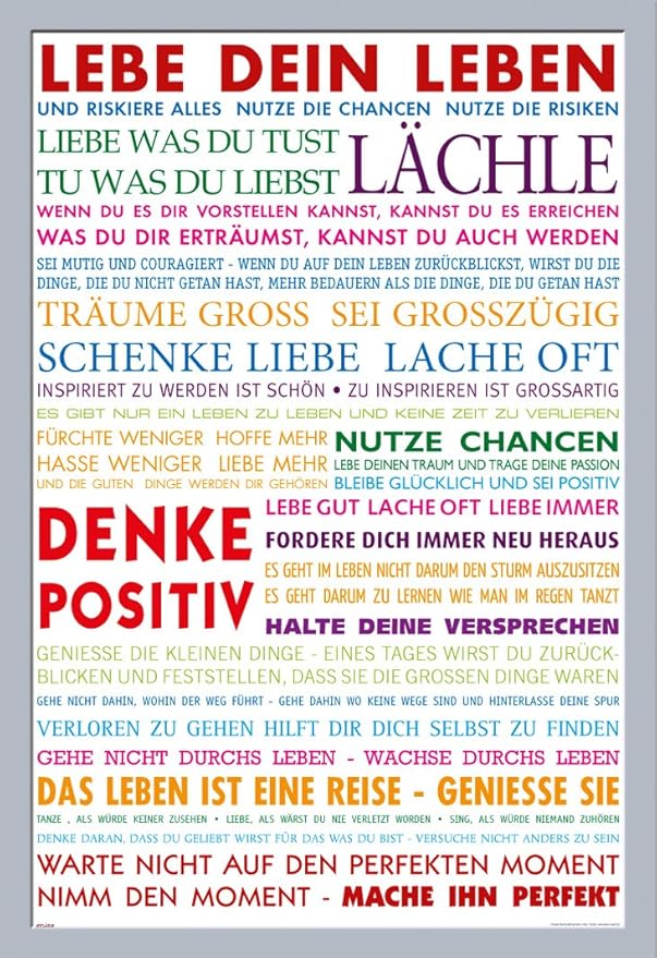 Empireposter Motivational Lebe Dein Leben Bunt Motivations Poster Plakat Druck Grosse Cm Wechselrahmen Shinsuke Maxi Mdf Silber Acryl Scheibe Amazon De Kuche Haushalt