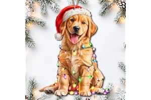 Personalized Christmas Ornaments 2025 - Funny Golden Retriever Ornaments for Christmas Tree Santa Hat & Holiday Lights, Dog C