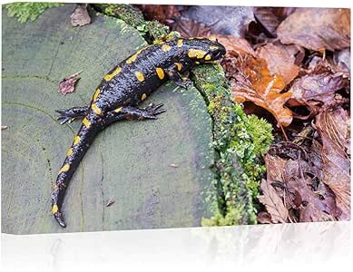 Decoración de Pared de Lona de Salamandra de Fuego o Salamandra