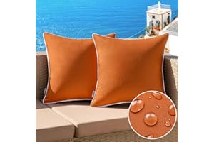 MIULEE Fall 2 Pack Orange 20x20 Inch Modern Farmhouse Waterproof Solid Color Square Throw Pillow Covers for Indoor & Outdoor Use