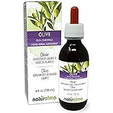 Naturalma Olive (Olea europaea) Leaf Alcohol-Free Tincture - 4 fl oz Liquid Extract in Drops - Herbal Supplement - Vegan