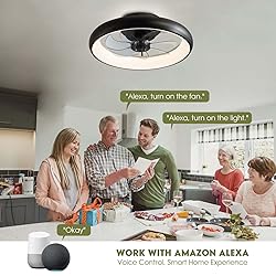 LUDOMIDE Boho Ceiling Fans with Lights, 20" Flush