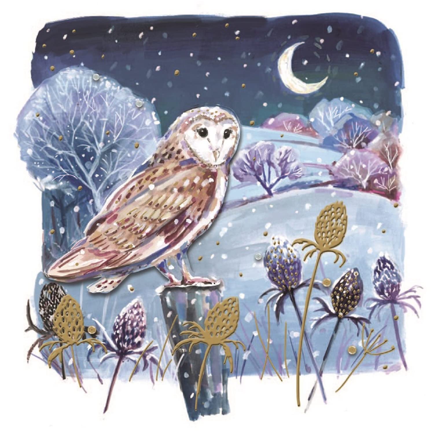 Box of 5 Christmas Cards with Envelopes - Christmas Owl - XBRL8442