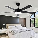 Vaczon 48 Inch Black Ceiling Fan with Light and