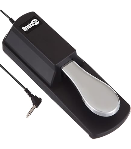 Casio SP-3R Sustain Pedal for Casio Keyboards : Amazon.ca