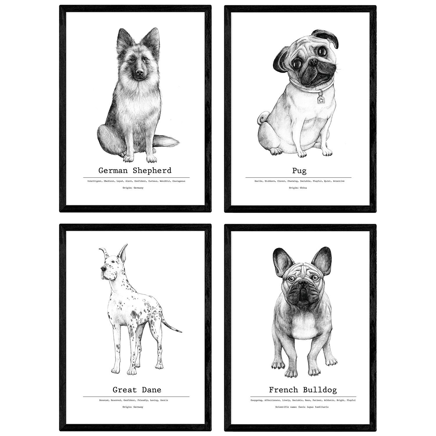 Nacnic Pack posters dog breed description. Decorative plates dogs. A4 size