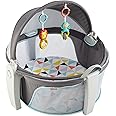 Fisher-Price On-the-Go Baby Dome, Grey/Blue/Yellow/White