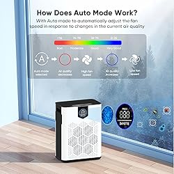 DAYETTE Air Purifiers for Home with H14 Hepa