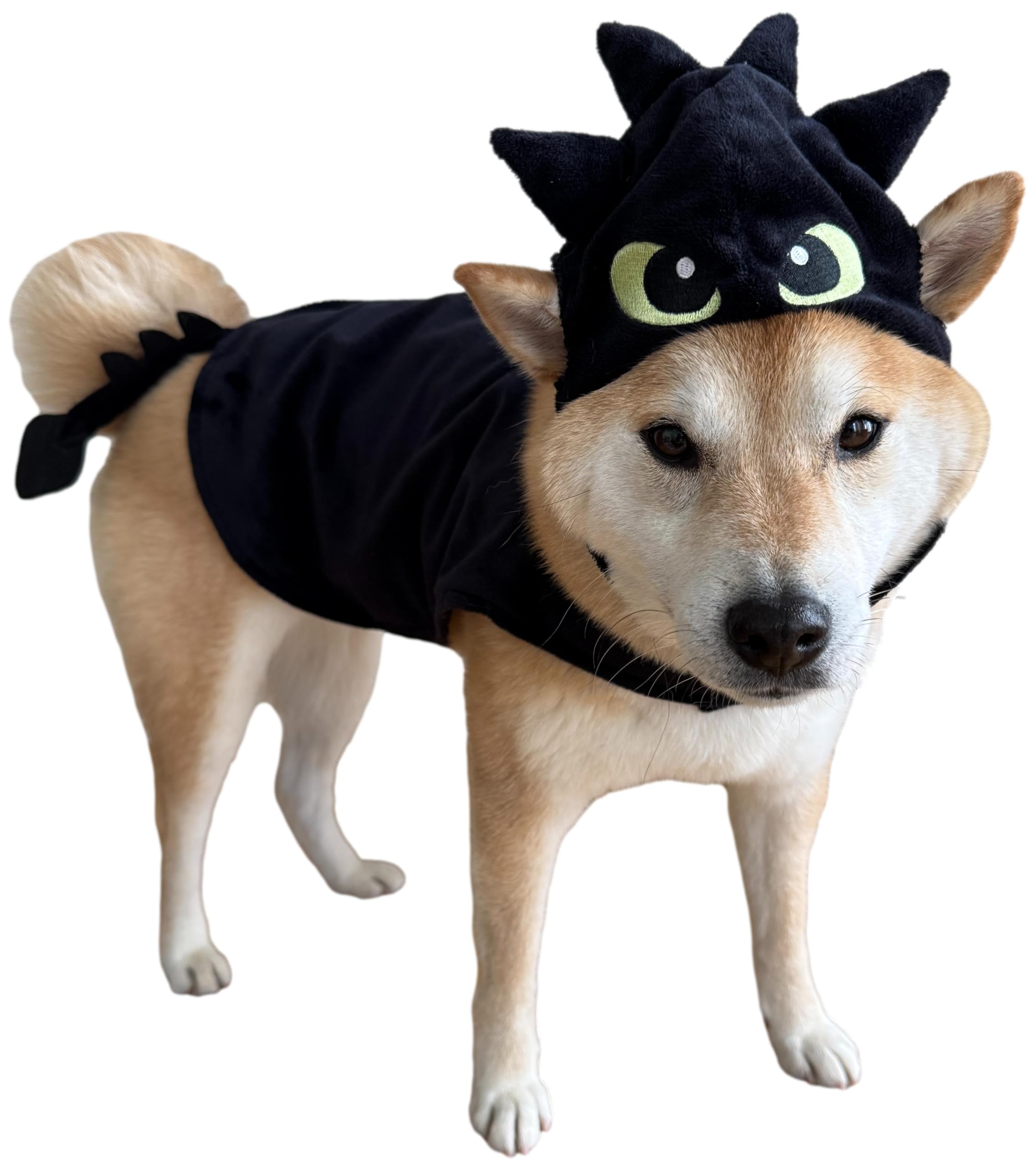 Photo 1 of ComfyCamper Dragon Dog Costume for Dogs - XS XXL Onesie Wings Cosplay Apparel Halloween Costumes Outfit, L
