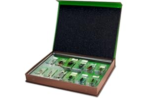 Geoworld Nature Collection Insects in Resin: 12 Insects - Wasps, Spiders, Beetles and More - STEM Education or Collection Set