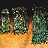 Hareline Strung Peacock Herl 5-7 Small