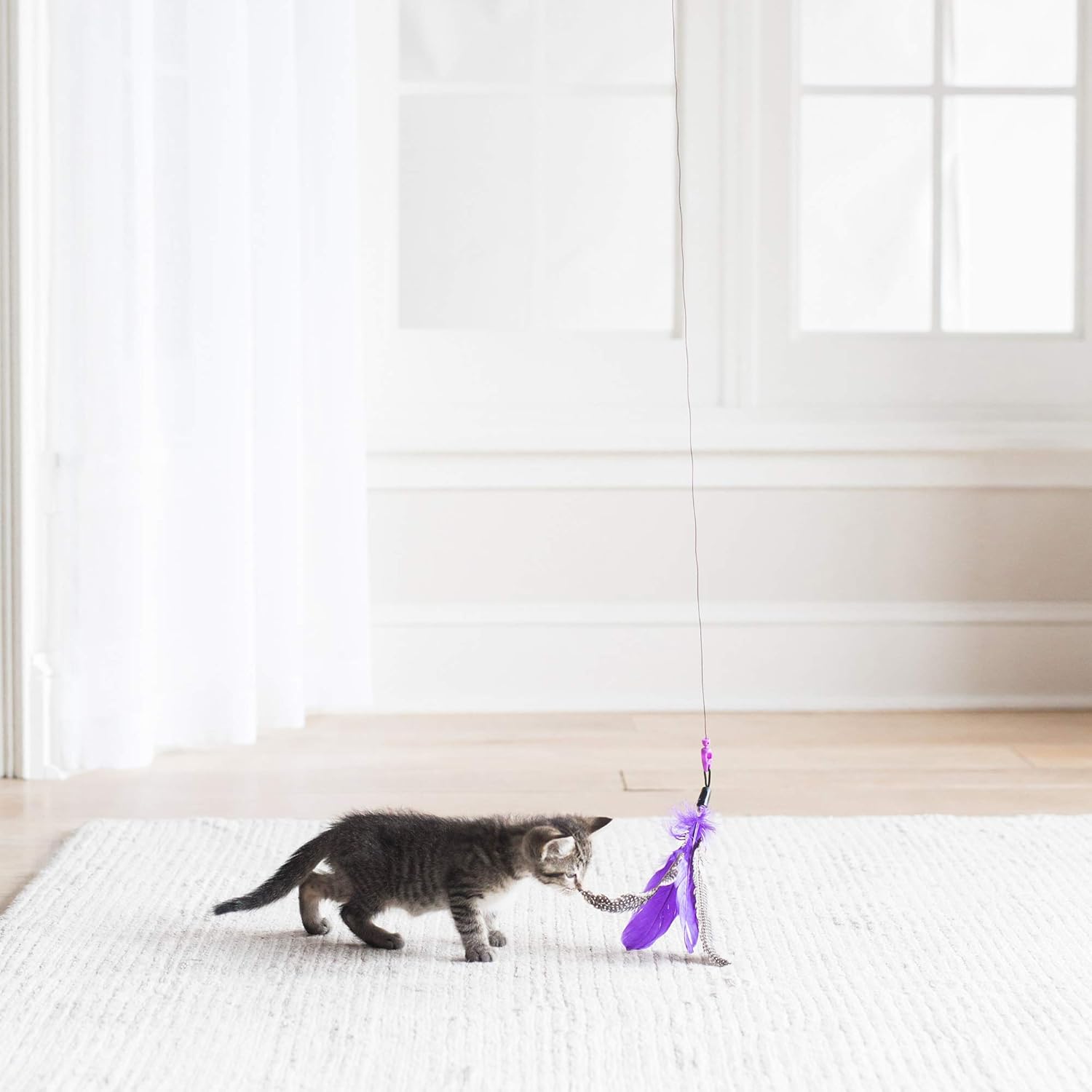 Jackson Galaxy Air Prey Cat Wand Cat Toy : Pet Supplies