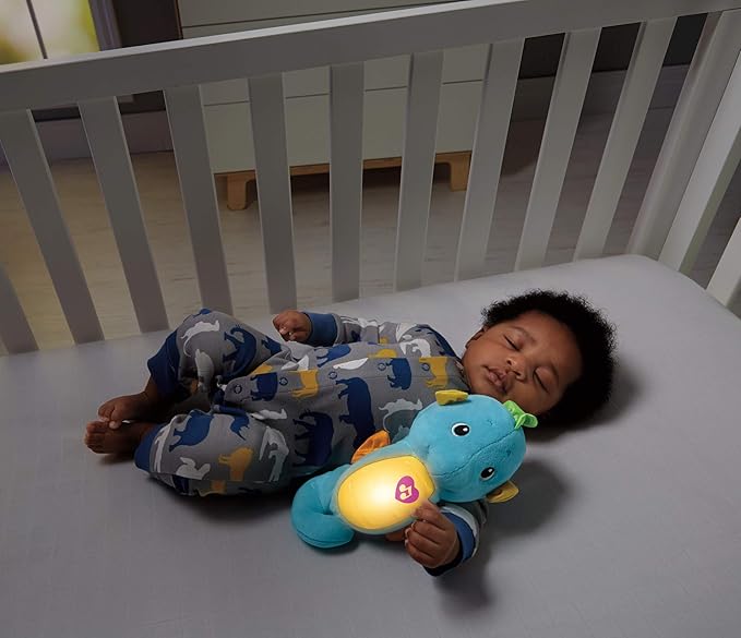 fisher price seahorse soother