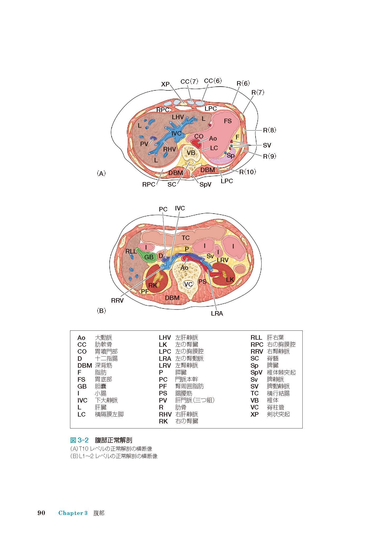 診断力が高まる 解剖 画像所見 身体診察マスターブック 前田 恵理子 本 通販 Amazon