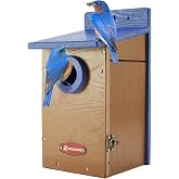 Kingyard Bluebird House, Outdoor Bird House with Predator Guard | Recycled poly lumber nesting box with a 1.5-inch entrance hole, clear viewing panel, bottom ventilation holes