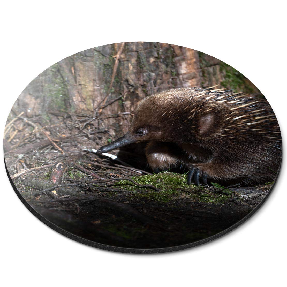 Destination Vinyl ltd Short Beaked Echidna Cradle Mountain Tasmania - Flexible Round 5mm Rubber Mouse Mat Pad Office Home Novelty Printed Desk Accessory - 46294