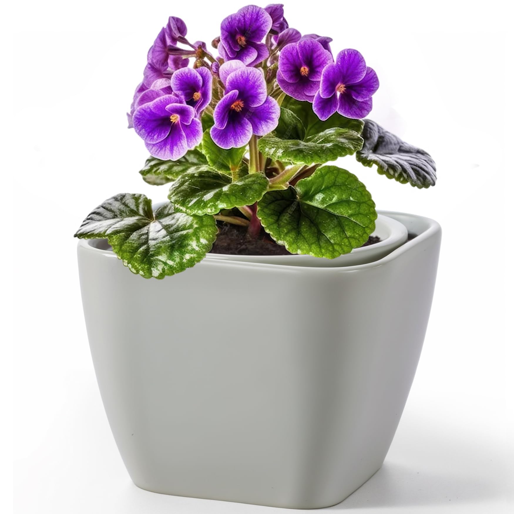 Photo 1 of LITUDISO African Violet Pots, 6 Inch Self Watering Pot for Indoor Plants, Ceramic Self Watering Pot for Busy Plant Lovers - Grey