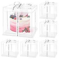 TINSKY 6 Pcs Clear Cake Boxes with Lids Plastic