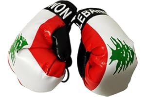 FNG MINI BOXING GLOVES Flag Mini Small Boxing Gloves to Hang Over Car Automobile Mirror – Asia & Africa